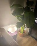 GobekUsa New Led Mushroom Table Lamp for Hotel Bedroom Bedside Living Room Decoration Lighting Modern Minimalist Creativity Desk Lights