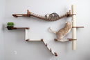The Expedition - Cat Jungle Gym Wall System