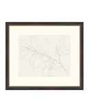 Lemon Branch Drawing