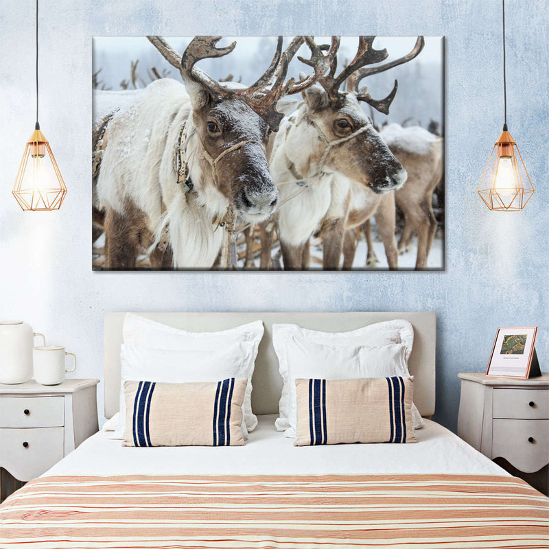 Snow Reindeer Wall Art