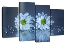 White Daisies Wall Art