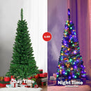 Artificial National Foot Kingswood Fir Pencil Christmas Tree by LJGDeals