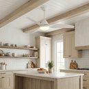 Nordic Aeris Whisper Ceiling Fan Lights