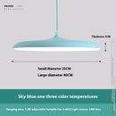 Nordic Modern Simple LED Chandelier Restaurant Chandelier Designer Chandelier