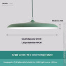 Nordic Modern Simple LED Chandelier Restaurant Chandelier Designer Chandelier