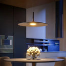 Nordic UFO Metal Pendant Light