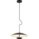 Nordic Wood Grain Black Ring Pendant Light