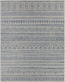 Novato All Over Pattern Performance Rug