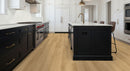 MSI NOVE HYDE HAVEN Luxury Vinyl Planks