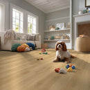 MSI NOVE PLUS HYDE HAVEN Luxury Vinyl Planks