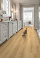 MSI NOVE RESERVE HYDE HAVEN Luxury Vinyl Planks