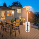 48000 BTU Patio Heater with Simple Ignition System by LJGDeals