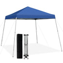 10 x 10 Feet Outdoor Instant Pop-up Canopy with Carrying Bag by LJGDeals