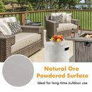 Outdoor Weather Resistant Tank Hideaway Table Fits Standard 20 LBS Propane Gas Tank for Fire Pits by LJGDeals