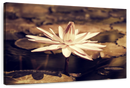 Sepia Lotus Flower Wall Art