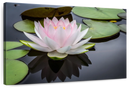 Pinkish White Lotus Wall Art