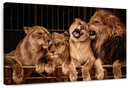 Pride Of Lions Wall Art