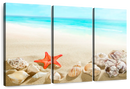 Seashells At The Beach Wall Art