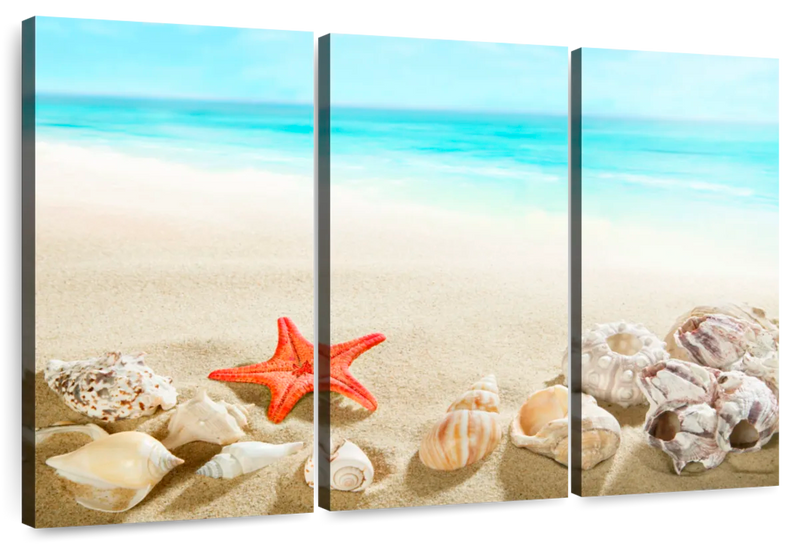 Seashells At The Beach Wall Art