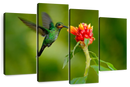Flower And Green Hummingbird Wall Art