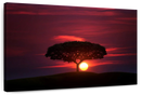 African Sunset Sky Wall Art