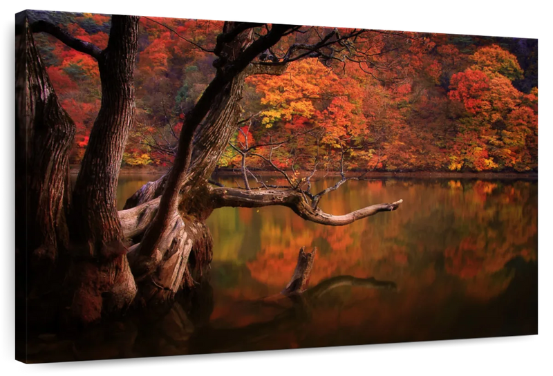 Orange Autumn Lake Wall Art