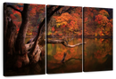 Orange Autumn Lake Wall Art