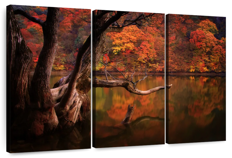 Orange Autumn Lake Wall Art