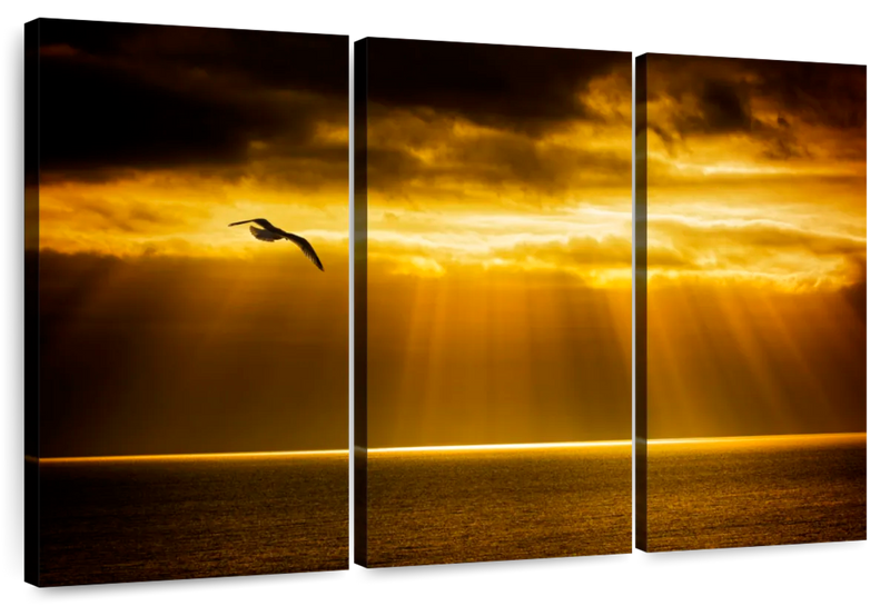 Golden Ocean Sky Wall Art