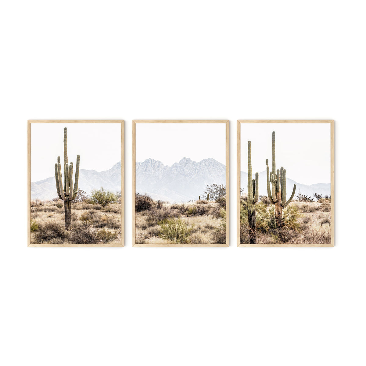 Desert, photo 4 of 5