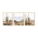Desert