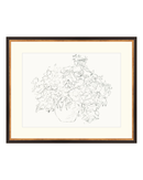 Vase of Flowers Sketch