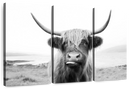 Funny Highland Cow Wall Art