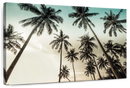 Dawning Above Palm Trees Wall Art