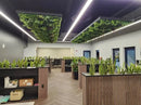 Amazon Jungle Artificial Vertical Garden Green Wall Panel 40×40in 11 SQ FT – UV Resistant – Commercial Grade by Designer Plants USA