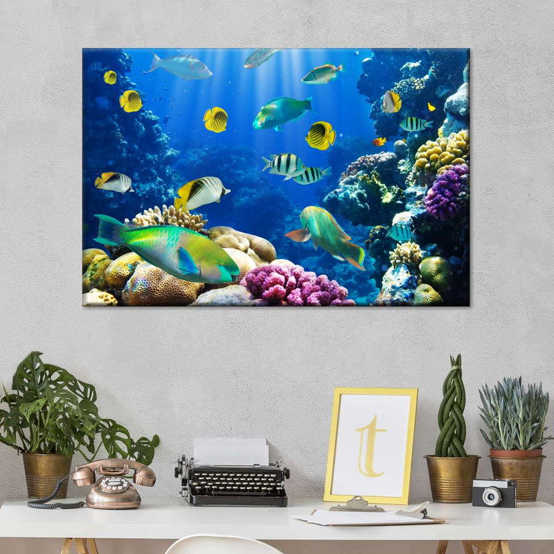 Underwater Sea Creatures Wall Art