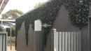 Sample Panel – Boston Ivy Green Wall (Small Sample) by Designer Plants USA