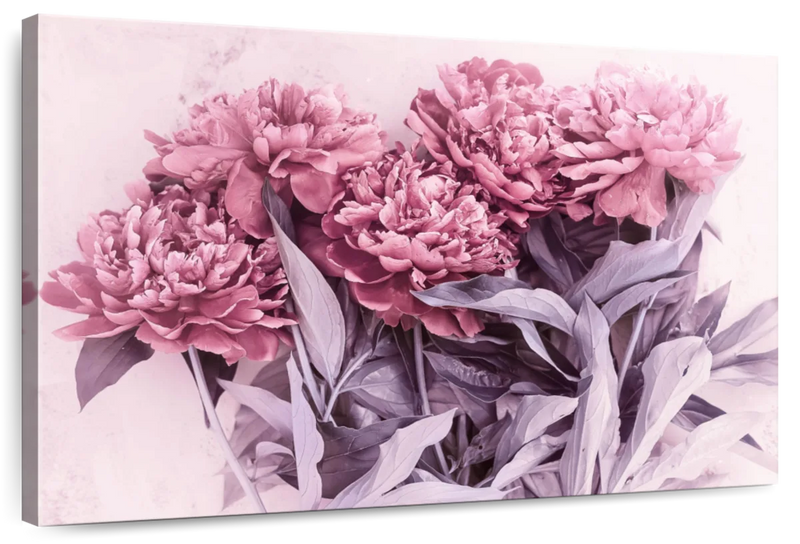 Blooming Pink Peonies Wall Art