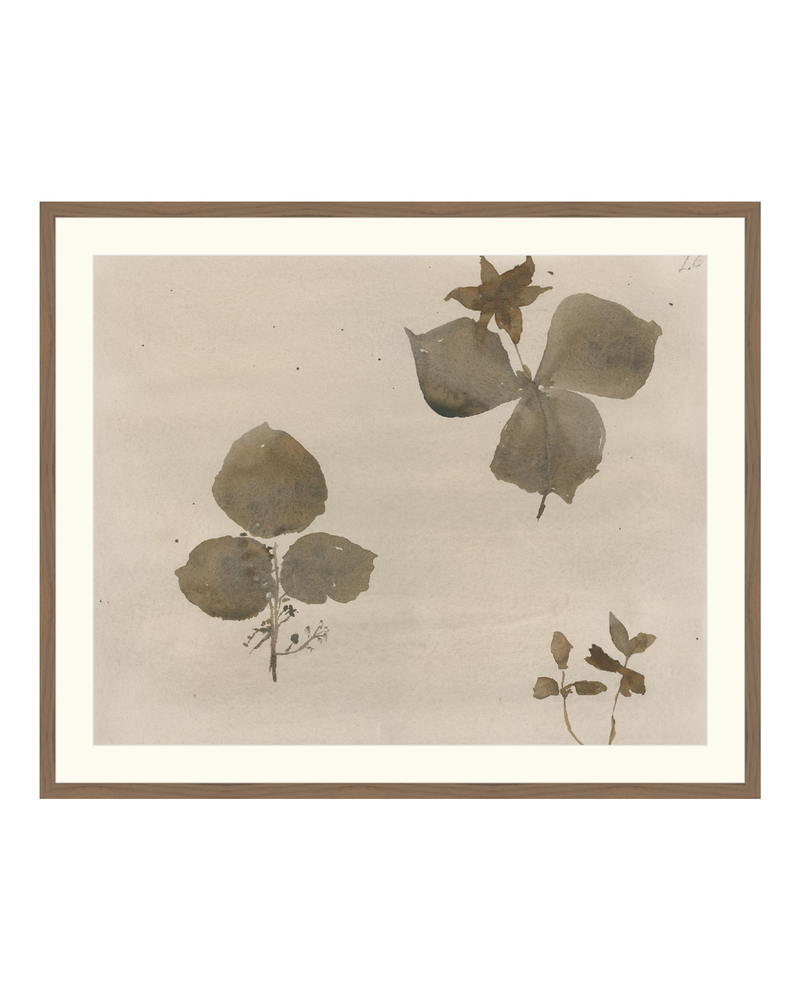 Botanical Thoughts I