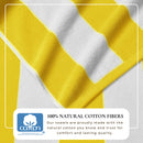 Cotton Velour Cabana Stripe Beach Towel - Novia Collection by Great Bay Home