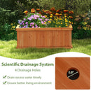 Raised Garden Bed Wooden Planter Box with 4 Drainage Holes and Detachable Bottom Panels-Orange by LJGDeals