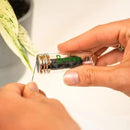 Bamboo Charcoal Floss in Glass Container by Bamboo Switch