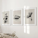 Minimalist Japanese Set of 3 Prints. Black and White Flowers Decor by Wall Art Set
