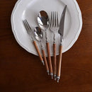GobekUsa 5-Piece Stainless Steel Western Tableware Set, Solid Wood Handle, Natural Yellow