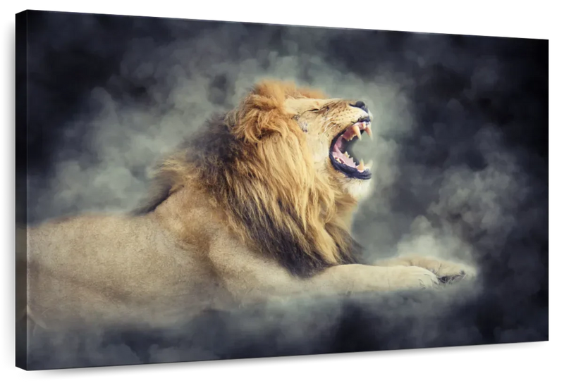 Misty Wild Lion Wall Art