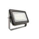 Outdoor LED Light for House – Tree Projection & Garden Light