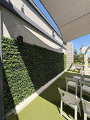 Dark Boxwood Artificial Vertical Garden Green Wall Panel Set of 6 66 SQ FT – UV Resistant – Commercial Grade by Designer Plants USA