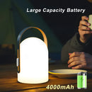 4000mAh Portable Outdoor Rechargeable Table Lamp