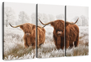 Hairy Scottish Highland Cows Wall Art