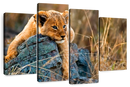 Safari Lion Cub Wall Art